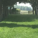 Spacieux Avec Terrain Clos, Terrasse, 4 Chambres, Animaux Acceptes, Pres De - Fr-1-376-104 * Belle-et-Houllefort