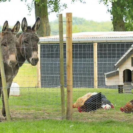 Spacieux Avec Terrain Clos, Terrasse, 4 Chambres, Animaux Acceptes, Pres De - Fr-1-376-104 Prázdninový dům