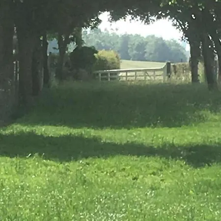 Spacieux Avec Terrain Clos, Terrasse, 4 Chambres, Animaux Acceptés, Près De - Fr-1-376-104 * Belle-et-Houllefort