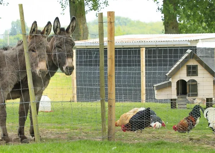 Spacieux Avec Terrain Clos, Terrasse, 4 Chambres, Animaux Acceptes, Pres De - Fr-1-376-104 Vakantiehuis