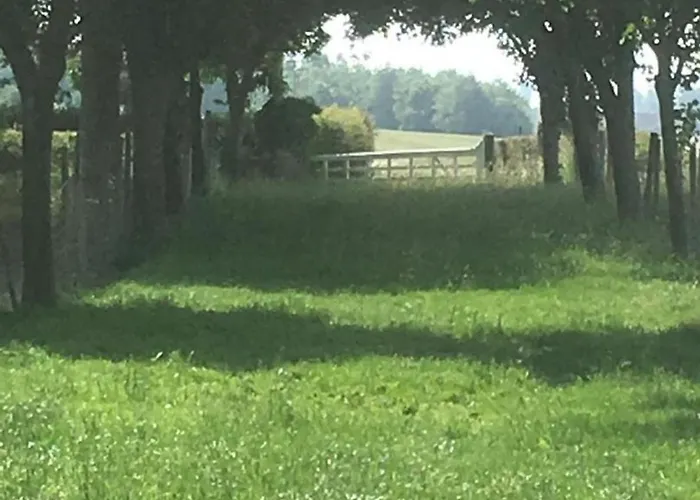 Spacieux Avec Terrain Clos, Terrasse, 4 Chambres, Animaux Acceptes, Pres De - Fr-1-376-104 * Belle-et-Houllefort